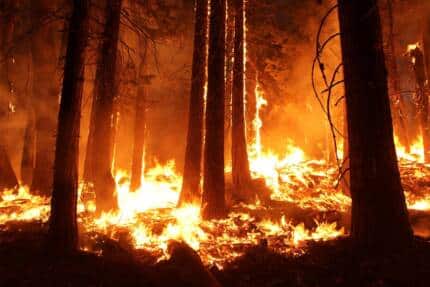 Wildfire - climate impacts