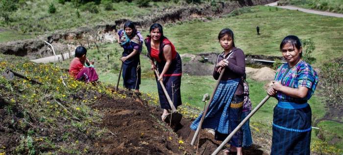 Women working the land in Guatemala