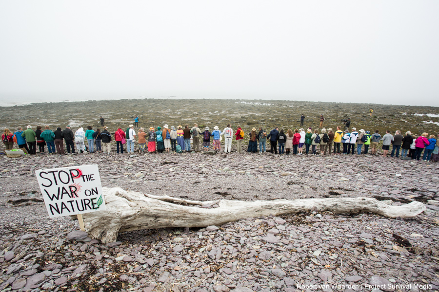 People from all across New Brunswick and Turtle Island draw a Line in the Sand at the End of the Energy East Pipeline to put a stop to reckless fossil fuel projects. On May 30, 2015, over 500 Canadian citizens and First Nations marched in Red Head, Saint John, at the End of the Line for the proposed Energy East pipeline. The people were protesting the proposed mega pipeline and the tank terminal that would destroy and the Red Head community and endanger the Bay of Fundy. If approved, TransCanada's Energy East pipeline would travel 4600km from Alberta to Saint John, New Brunswick, shipping 1.1 million barrels of crude oil and bitumen for export through the Bay of Fundy, a critical habit for Right whales and home to thousands of jobs in Tourism and Fishing.