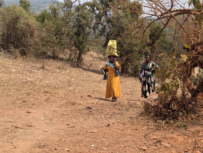 Des femmes de Diloda se rendant au marché : Crédit : Ziadah