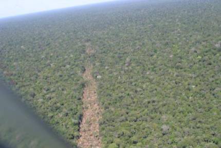 Desmatamento na Amazônia é um dos focos da Comissão Mista de Mudanças Climáticas do Congresso