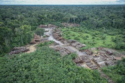 Campanha Pnuma Fé pelas Florestas reforça objetivos do sínodo da Amazônia