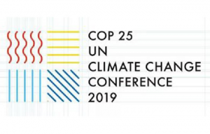 COP-25 (2019)