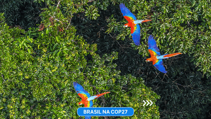 Brasil na COP27
