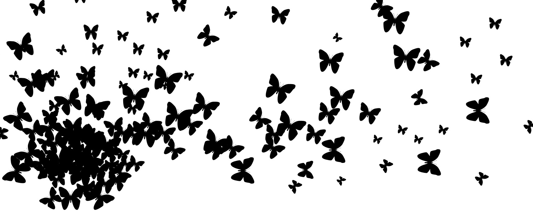 картинки бабочки черные на белом фоне