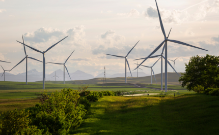 The image shows wind turbines and a field of green grass
