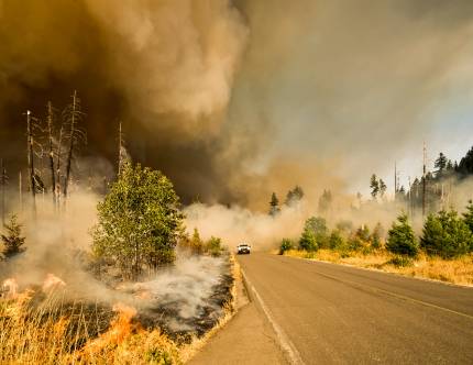 image of smoke overtaking road during forest fire, to illustrate article about broken heat records