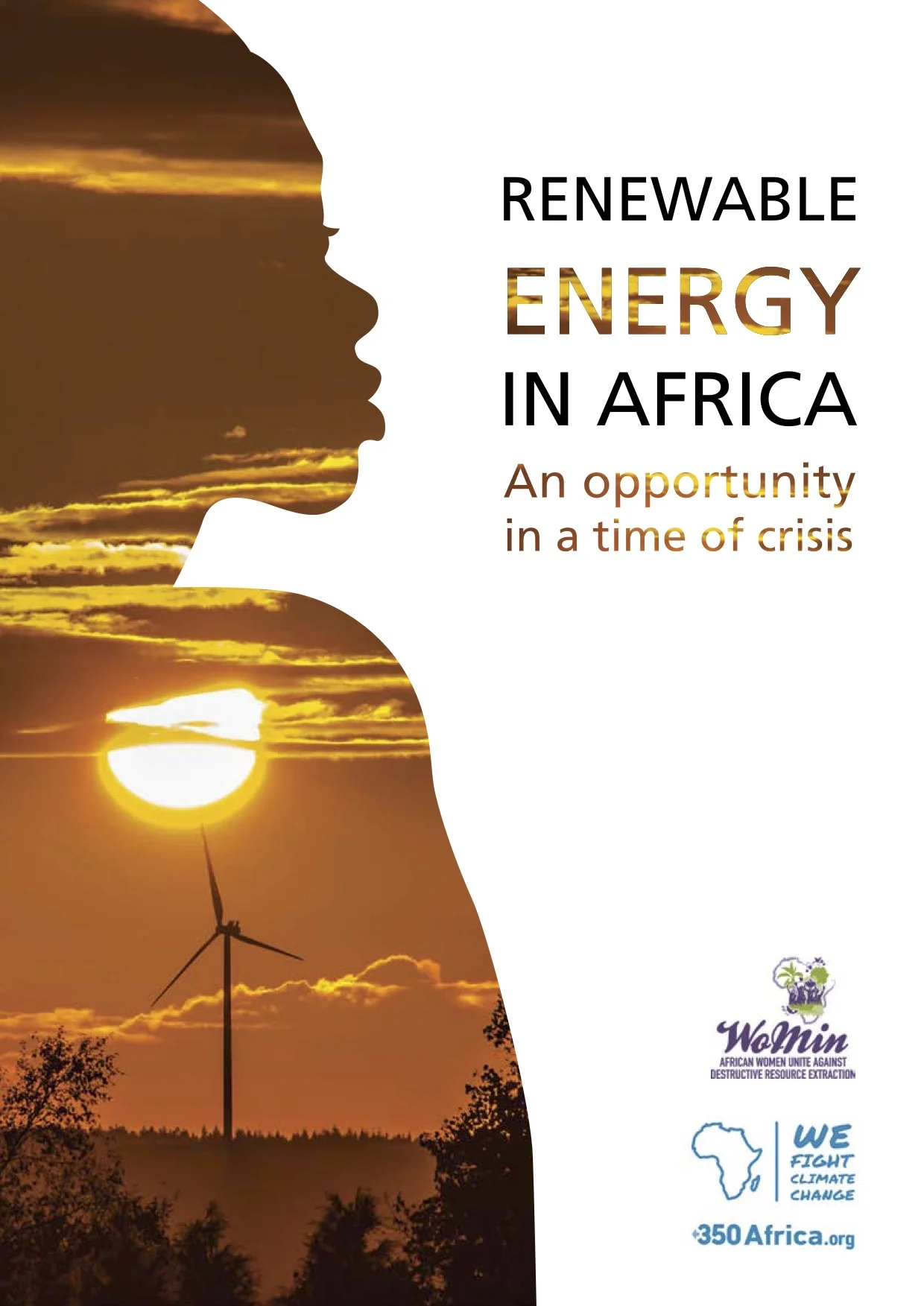 Cover artwork for Renewable Energy Report